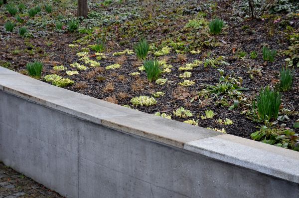 Concrete Wall Construction Service