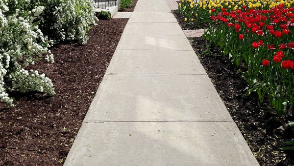 Cost of Sidewalk Slab Replacement in Lafayette